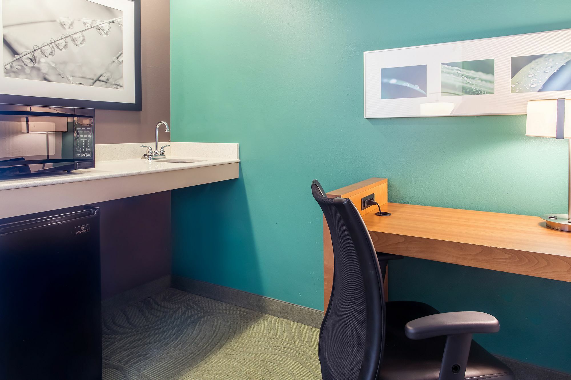 Springhill Suites By Marriott Memphis East Galleria Zewnętrze zdjęcie